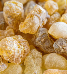 frankincense-essential-oil-canada-botanic-universe