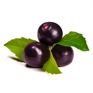 Acai Berry Fruit Juice Powder