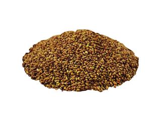 Alfalfa Seed Whole