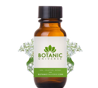 Amyris Essential Oil