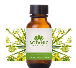 Anethi Essential Oil