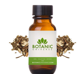Angelica Root Essential Oil