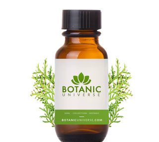 Arborvitae Wild Essential Oil (Canada)
