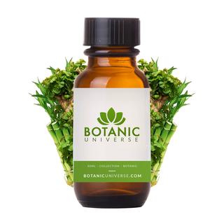 Bamboo & Teak Fragrance Oil