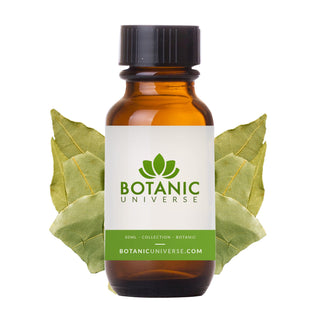 Bay Leaf Essential Oil