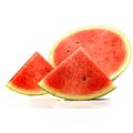 Watermelon Powder Fruit Extract