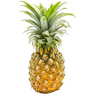 Pineapple Powder Fruit Extract