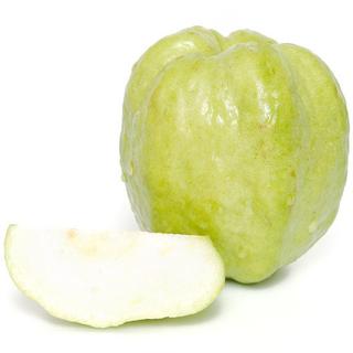 Guava Powder Fruit Extract