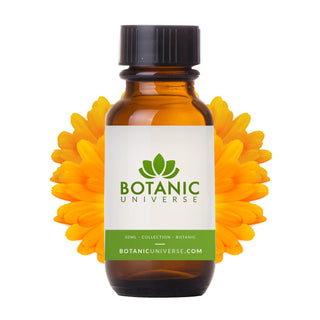Calendula Carrier Oil