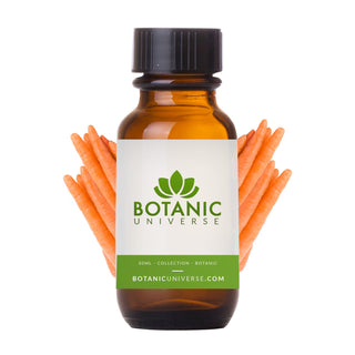 Carrot Seed Essential Oil Steam Distilled