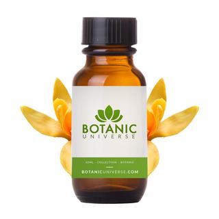 Champaka (Nag Champa) Fragrance Oil