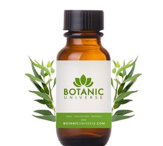 Eucalyptus Floral Water