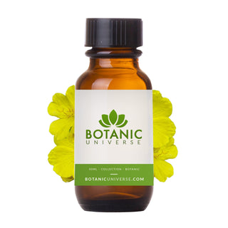 Evening Primrose Carrier Oil (Unrefined)