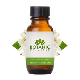 Jasmine Nature Identical Essential Oils